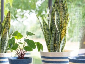 Bloempot Corvo Papier Wit H15 cm - Set van 2