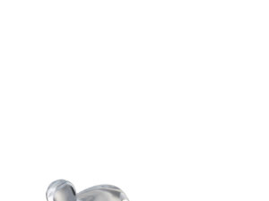 Botervloot Dastoro Glas Transparant