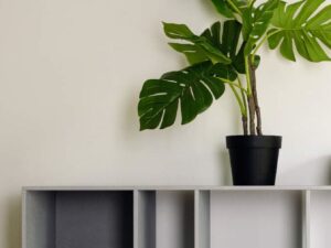 Wandplank Naamund 123 cm