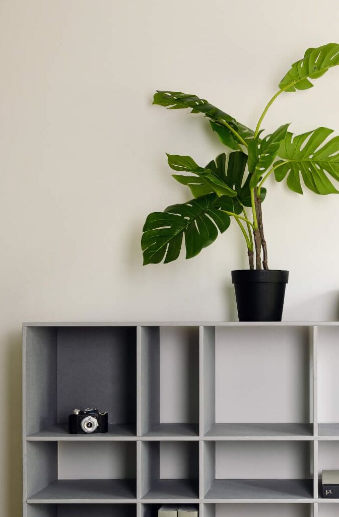 Wandplank Naamund 123 cm