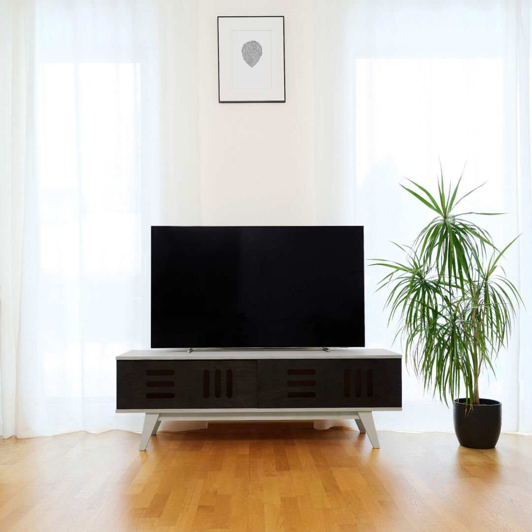 TV-meubel Kaaldund Zwart 120 cm met schuifdeuren, strak design en opbergruimte in modern interieur