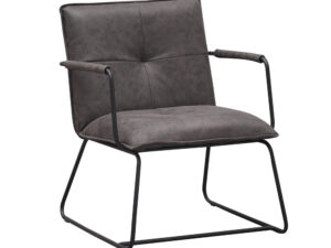 Fauteuil Zaundy Antraciet