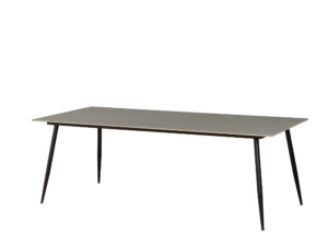 Eettafel Reinsel Grijs 230x100 cm