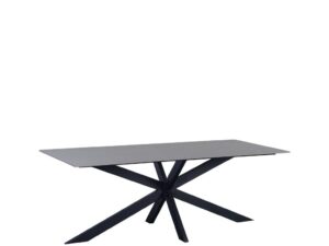 Eettafel Staandir Grijs 230x100 cm