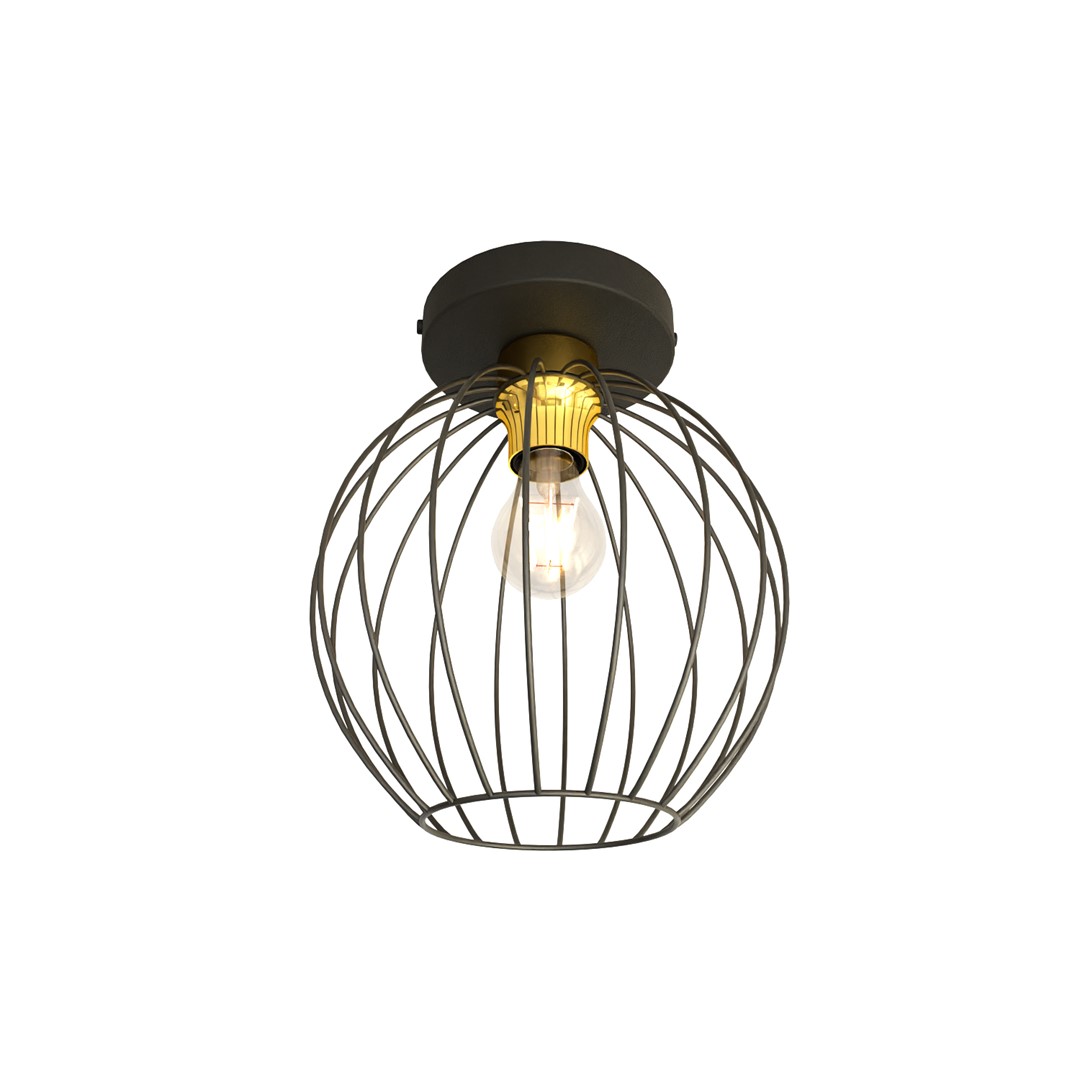 Plafondlamp Seiskar Zwart Ø24 cm