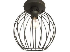 Plafondlamp Dissoro Zwart Ø24 cm