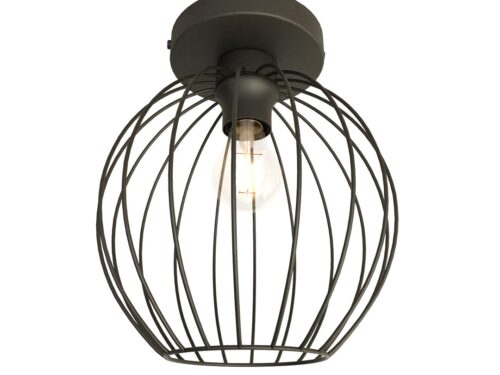 Plafondlamp Dissoro Zwart Ø24 cm met open metalen kap en industriële look