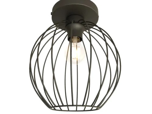 Plafondlamp Dissoro Zwart Ø24 cm met open metalen kap en industriële look