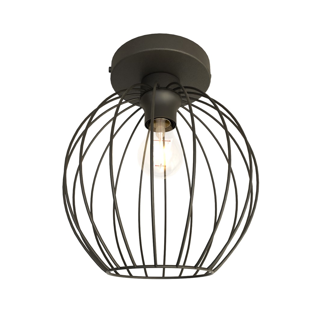 Plafondlamp Dissoro Zwart Ø24 cm