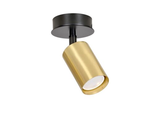 Plafondlamp Visan zwart met gouden spot, moderne verstelbare cilinder voor gericht licht