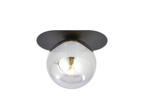 Treekund zwarte plafondlamp Ø14 cm met glas en grafietkleurige kap, modern en industrieel