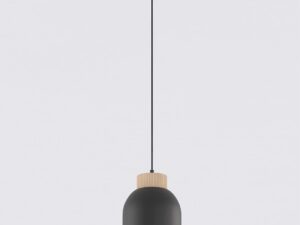 Hanglamp Trildano Zwart