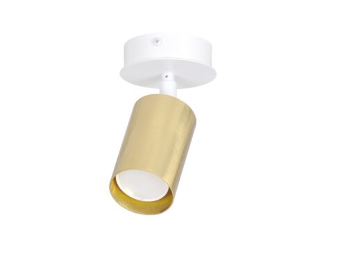 Plafondlamp Kleimmak Wit, witte plafondbasis met verstelbare goudkleurige spot van gepoedercoat staal