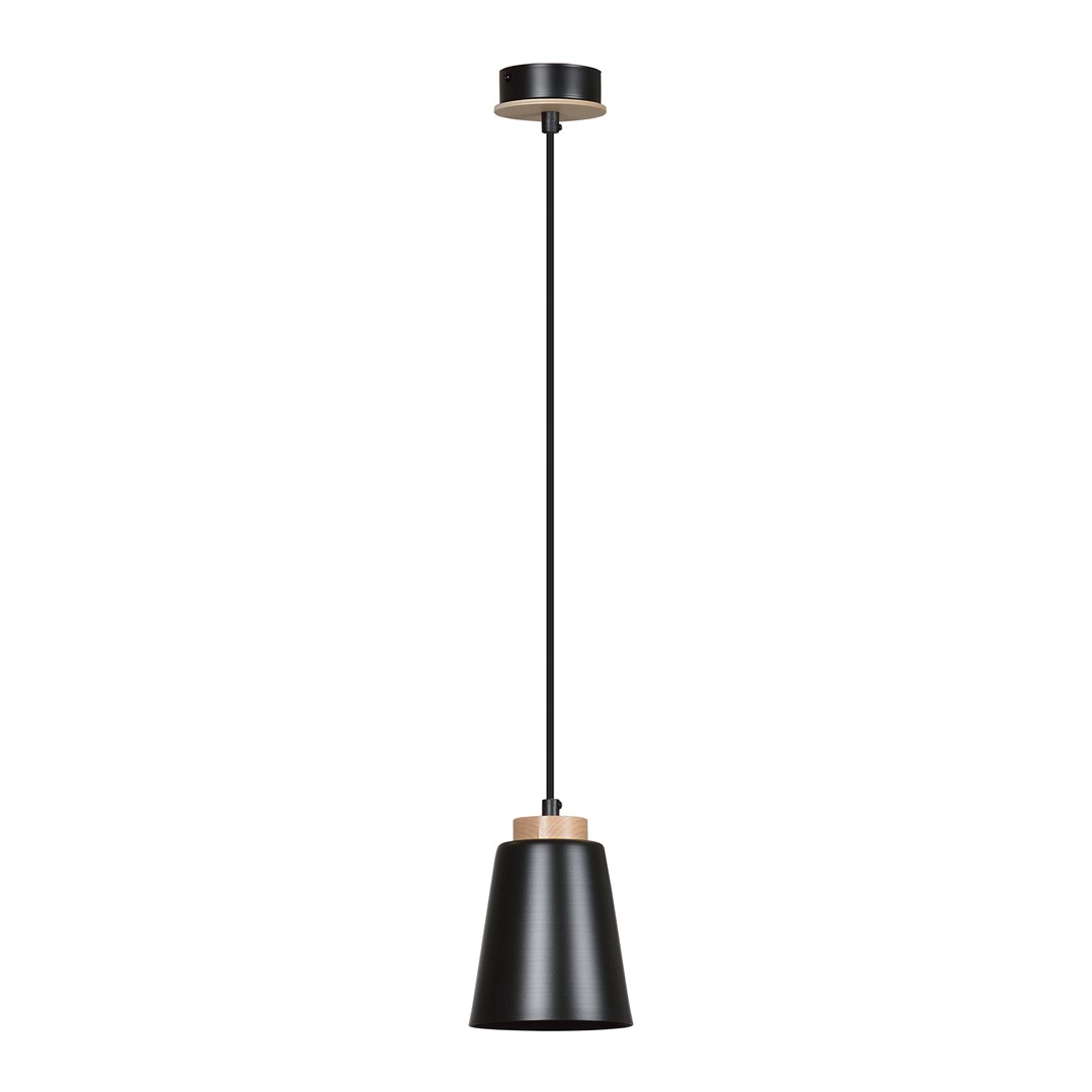 Hanglamp Greestis Zwart