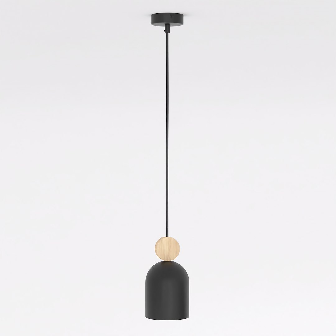 Hanglamp Troodand Zwart