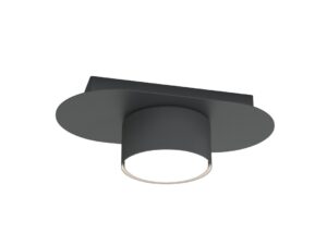 Plafondlamp Metz Zwart