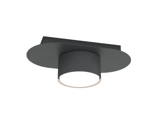 Plafondlamp Metz Zwart met strakke zwarte afwerking en compacte moderne vorm
