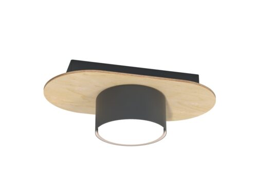 Plafondlamp Miemane Zwart met houten ovaal en zwarte cilindervormige kap, moderne strakke afwerking