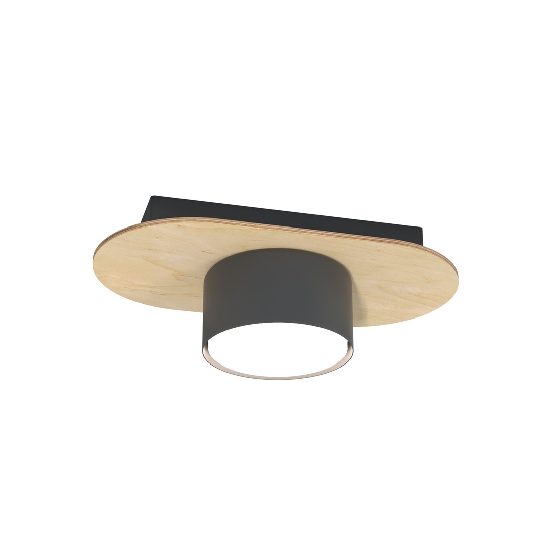 Plafondlamp Miemane Zwart