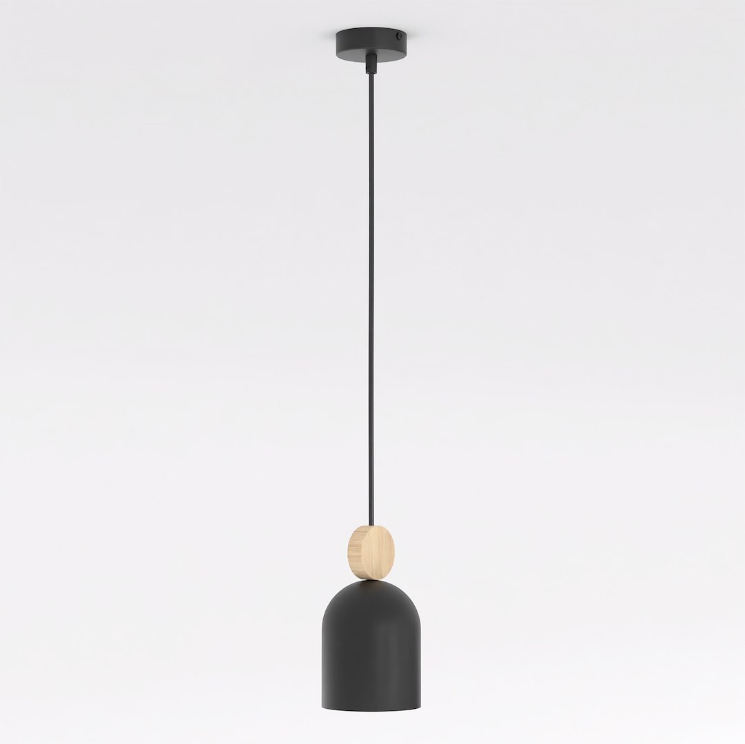 Hanglamp Troodand Zwart - Afbeelding 2