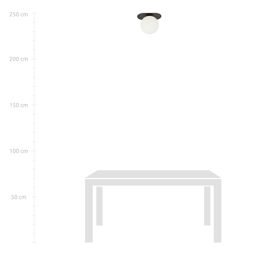 Plafondlamp Zaummir Zwart Ø15 cm - Afbeelding 7
