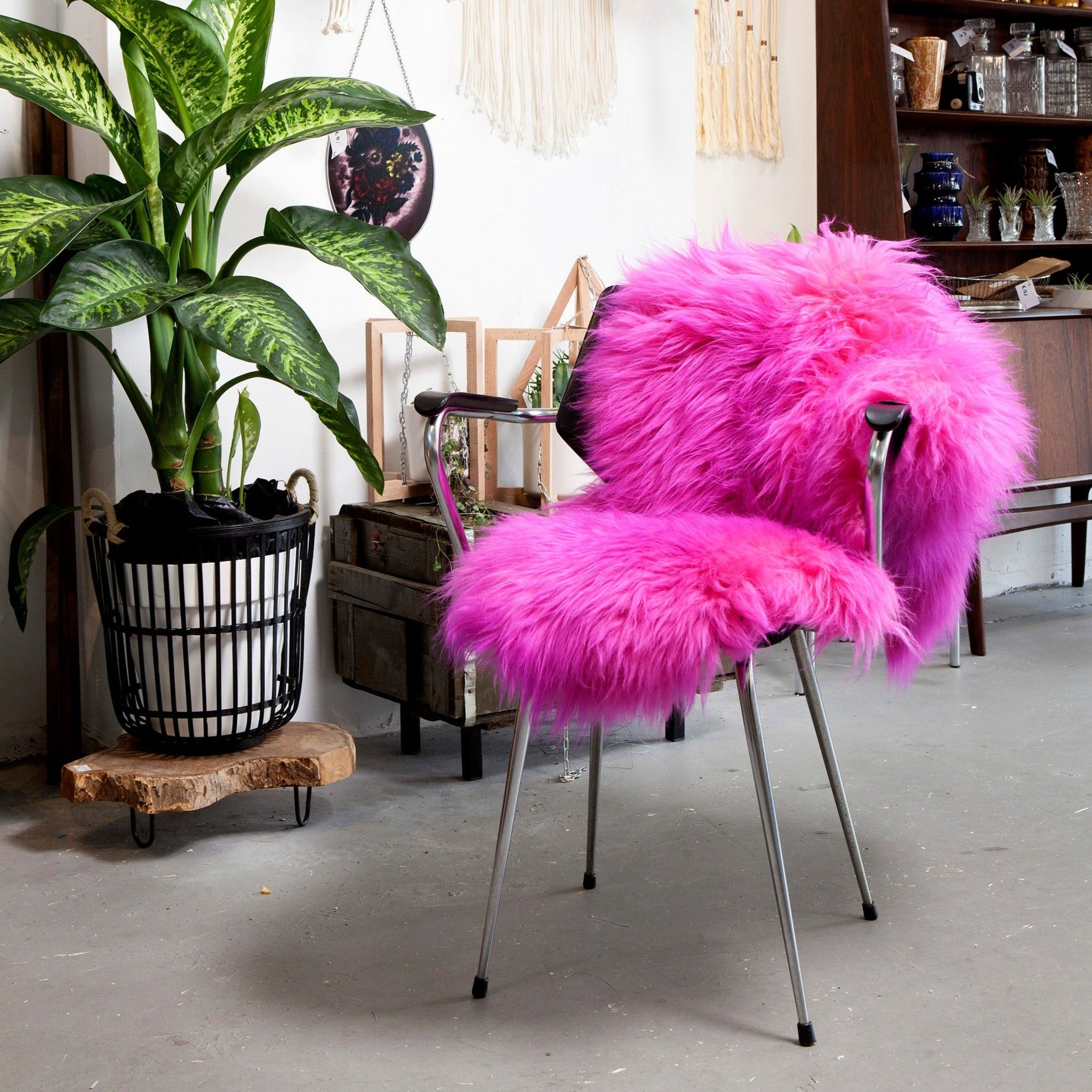 Schapenvacht Prummis Roze - Afbeelding 3