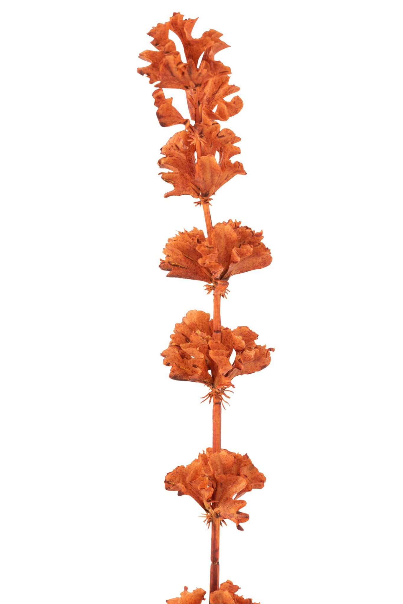 Kunsttak Jessone kunststof oranje met slanke steel en decoratieve bloemvormige blaadjes