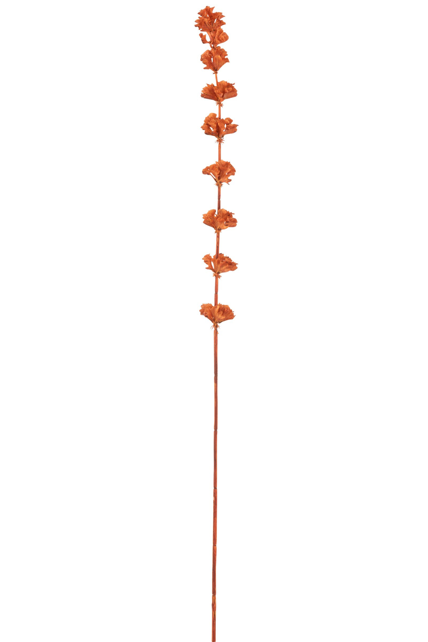 Kunsttak Jessone Kunststof Oranje - Afbeelding 3