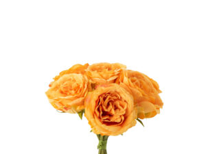 Kunstbloem Reelta Polyester Oranje