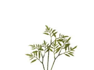 Kunsttak Traukon Kunststof Groen