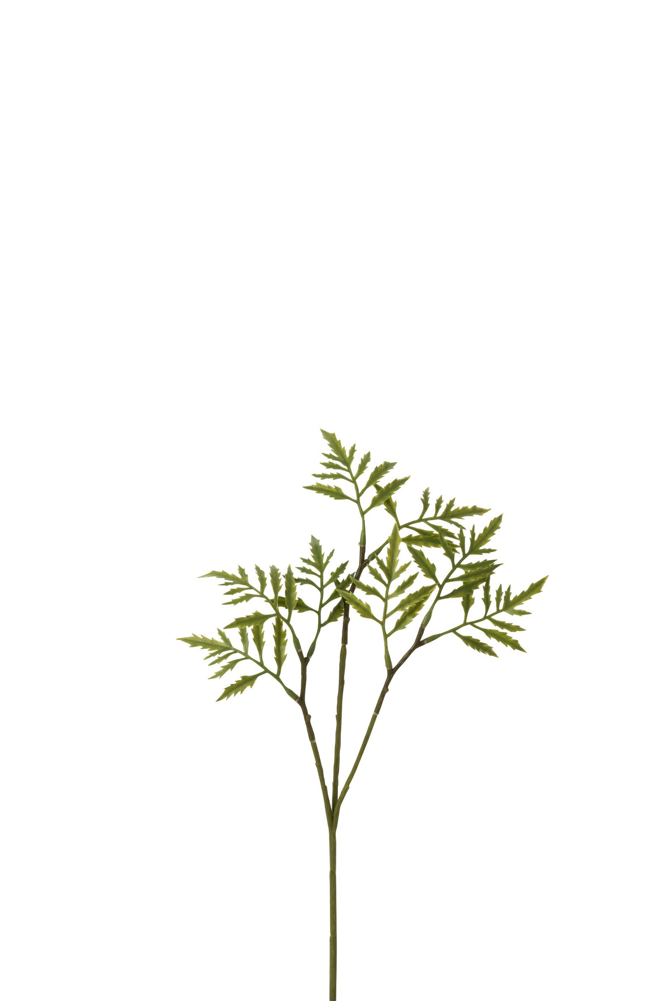 Kunsttak Traukon Kunststof Groen