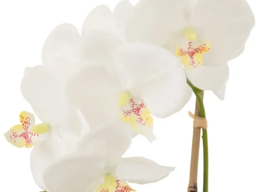 Kunstbloem Soostio wit: stijlvolle orchidee met zachte bloemblaadjes en groene steel, 40 cm hoog