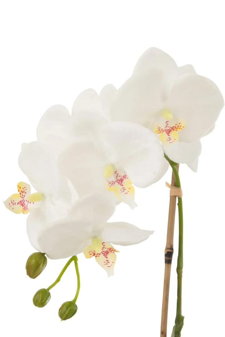 Kunstbloem Soostio wit: stijlvolle orchidee met zachte bloemblaadjes en groene steel, 40 cm hoog