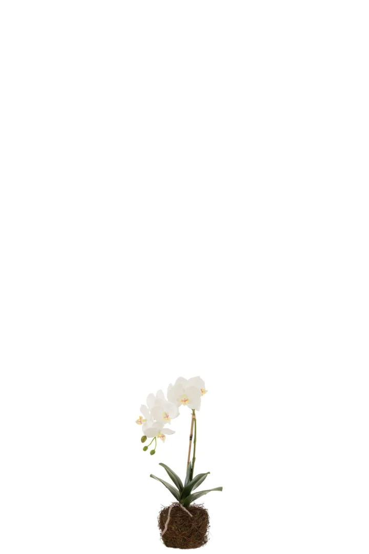 Kunstbloem Soostio wit hout - Afbeelding 2