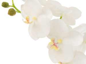 Kunstbloem Fundonte Stof Wit