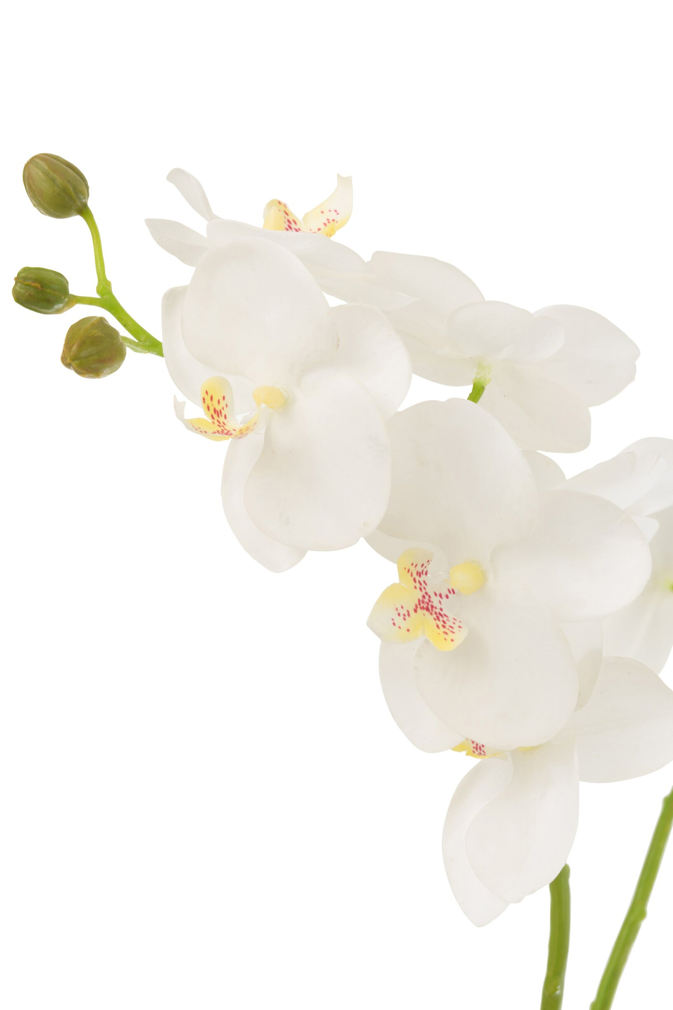 Kunstbloem Fundonte Stof Wit