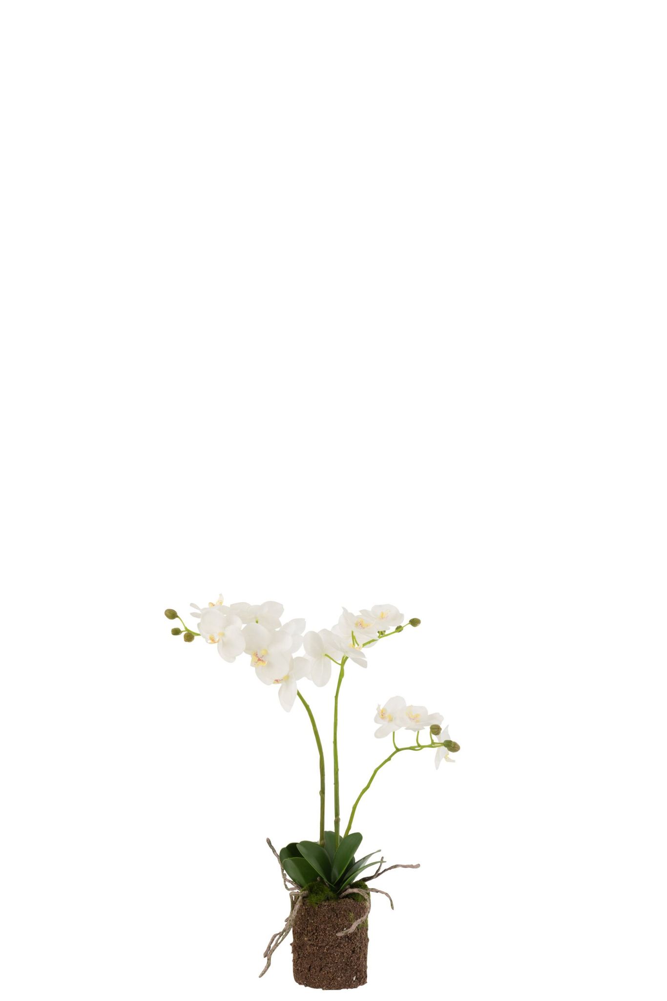 Kunstbloem Fundonte Stof Wit - Afbeelding 2