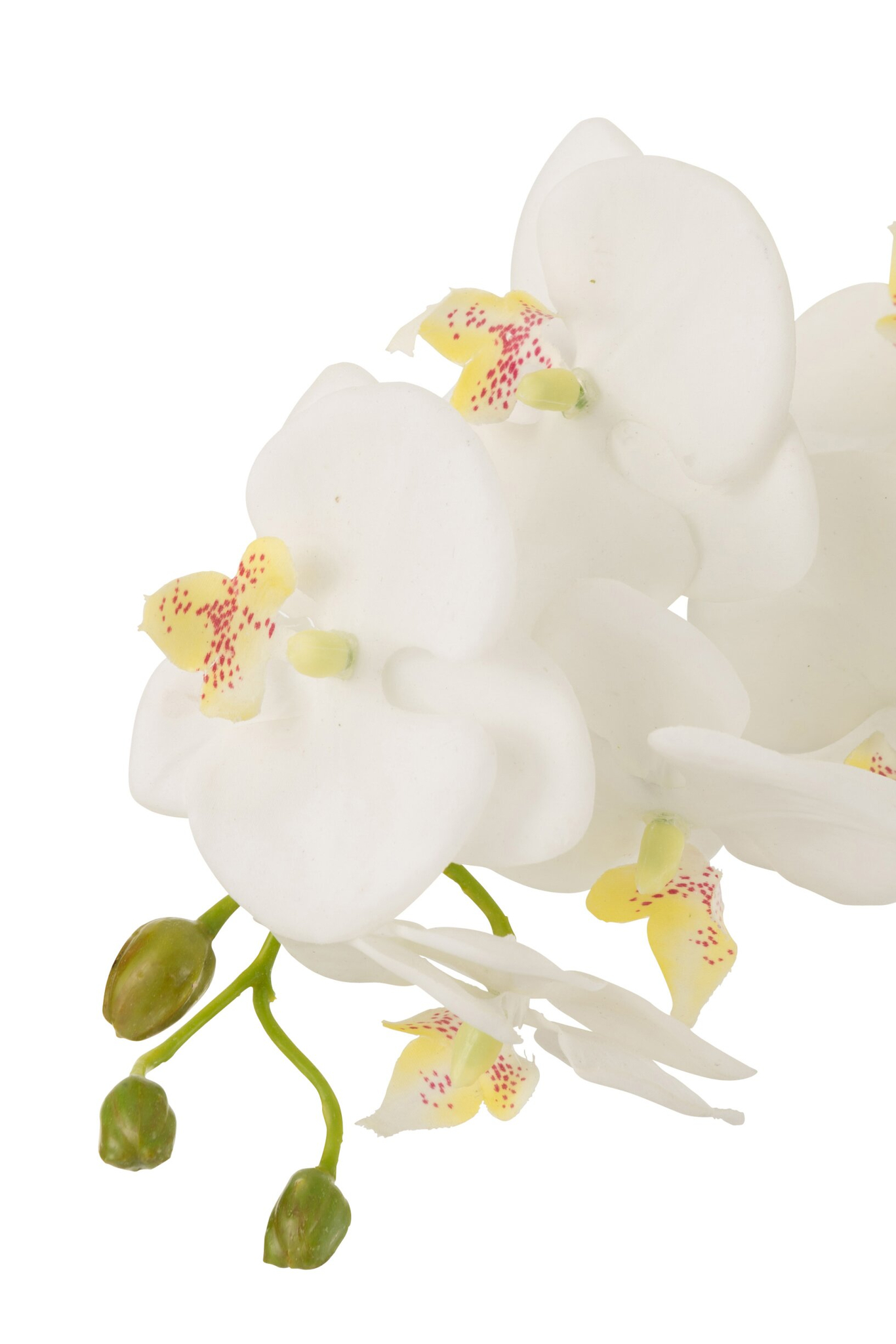 Kunstbloem Zoses witte orchidee met realistische bloemen en groene knoppen, elegant en onderhoudsvrij
