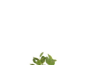 Kunstbloem Saaltio Stof Groen
