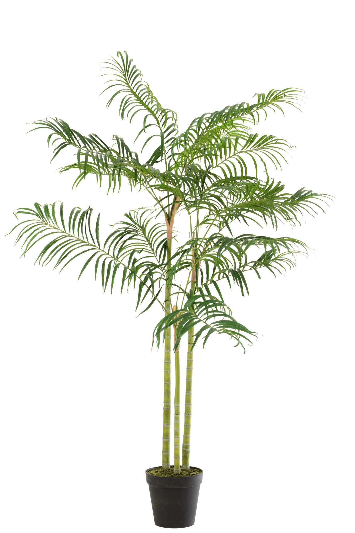 Pot Sliesty Stof Groen H170 cm - Afbeelding 4