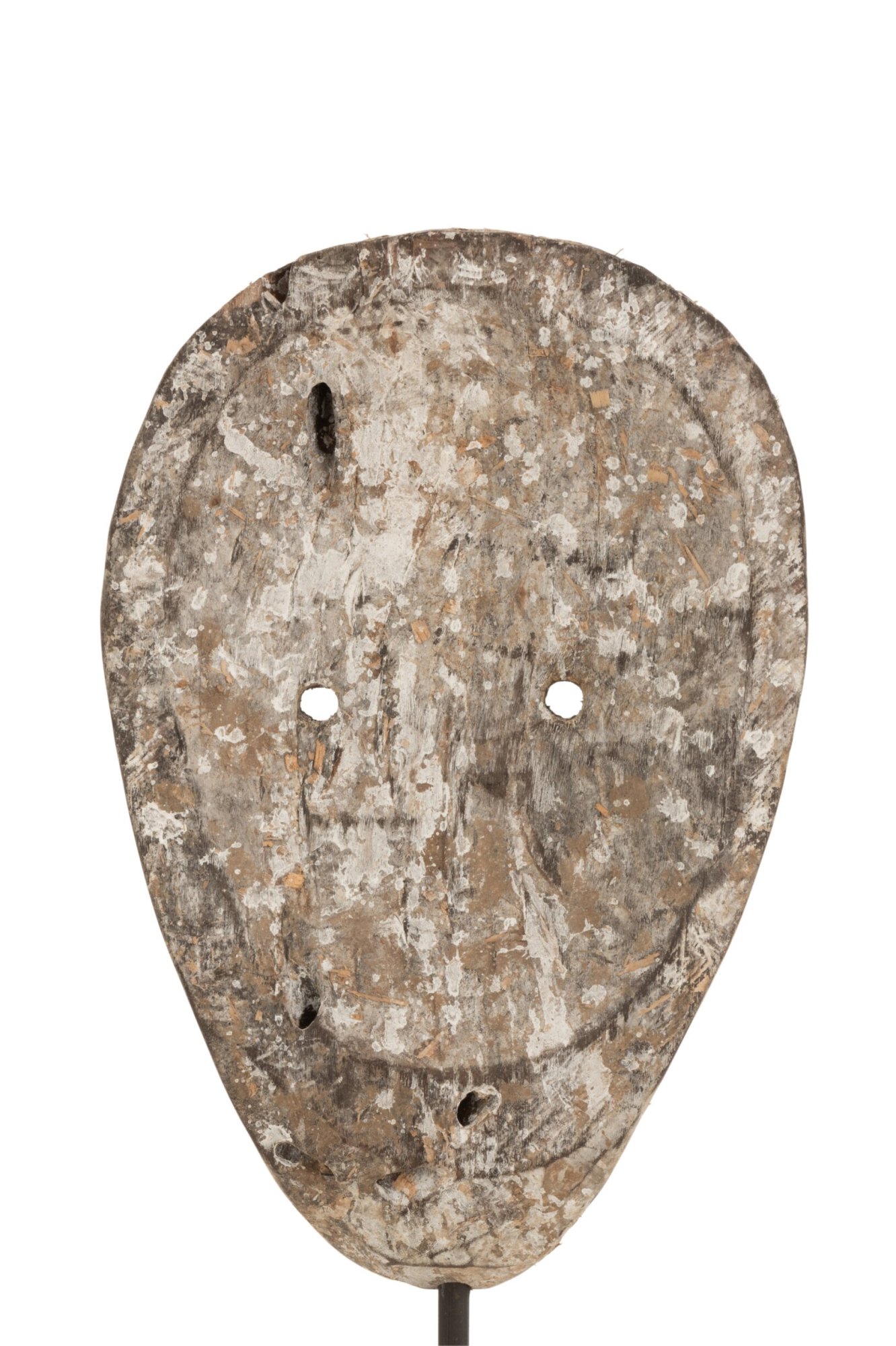 Beeld Pavia Albizia Bruin H31 cm