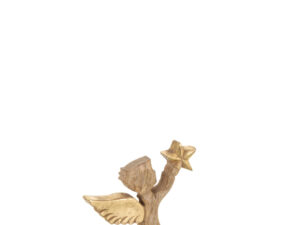 Decoratie Gaulter Mangohout Naturel
