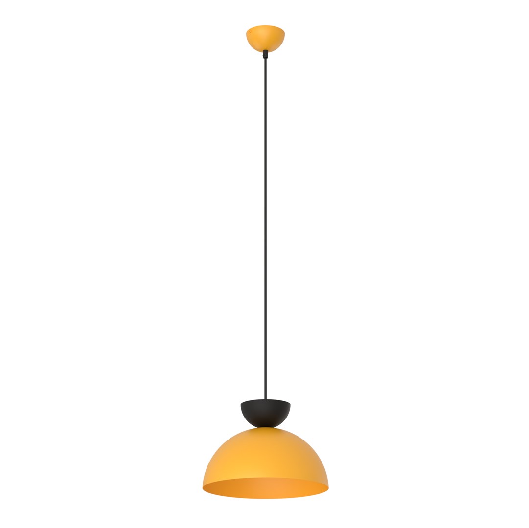 Hanglamp Brierrund Zwart Ø30 cm