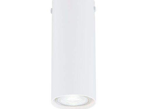 Plafondlamp Dordar Wit, minimalistisch wit staal, cilindervormig met GU10-spot