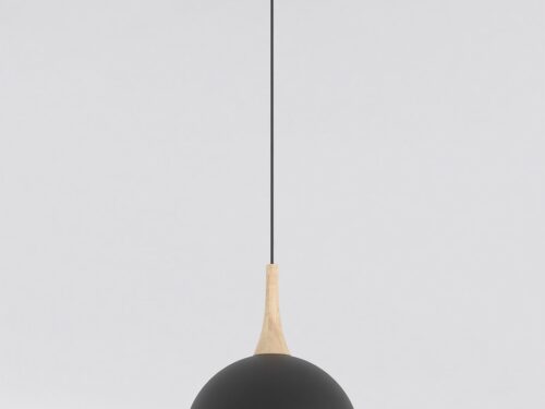 Hanglamp Prestine Zwart met matzwarte kap en houten detail, strak Scandinavisch design