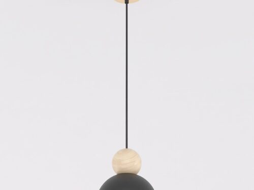 Hanglamp Raudos zwart met verstelbaar snoer, houten accenten en minimalistische Scandinavische stijl