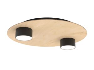 Plafondlamp Dallea Zwart