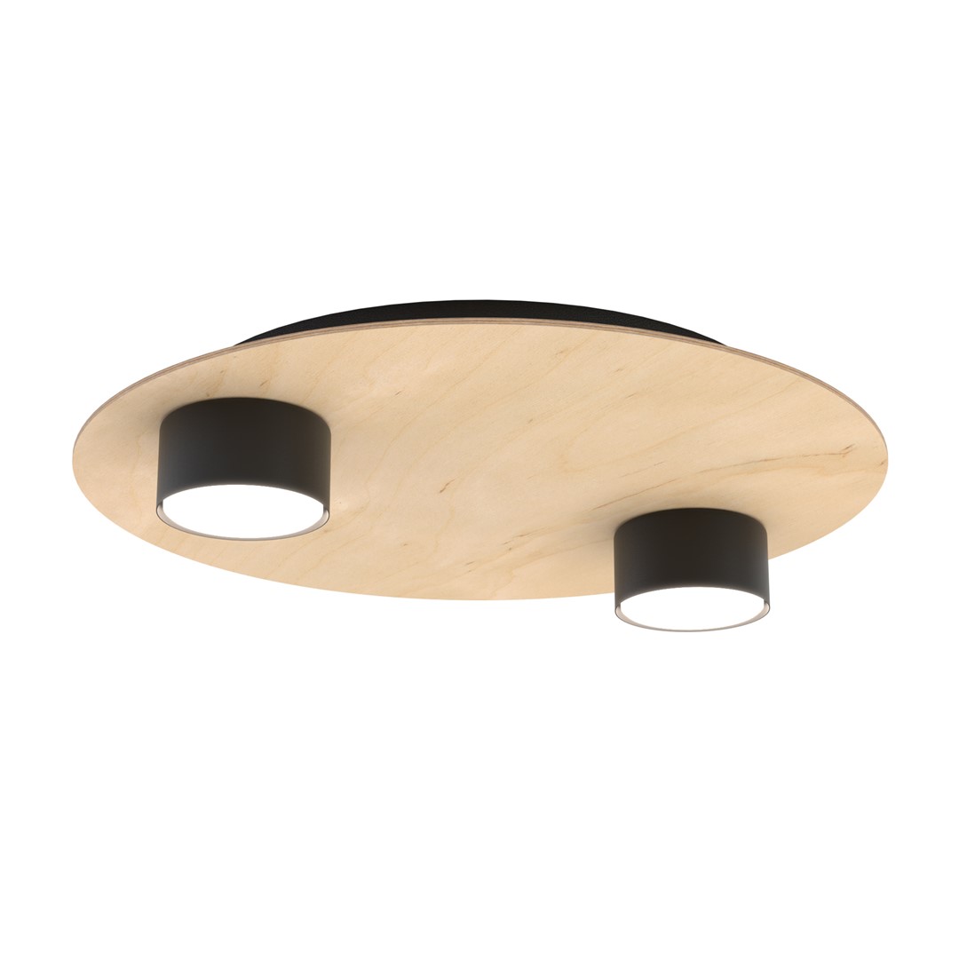 Plafondlamp Dallea Zwart