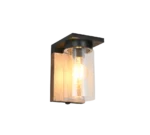 Wandlamp Pookena Transparant met helder glas, houtimitatie en warm licht voor buiten, set van 3
