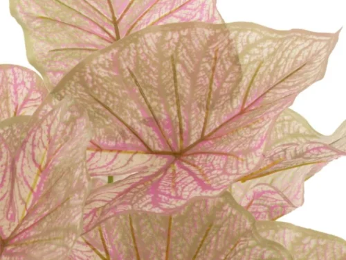 Pot Jise Stof Roze H57 cm met grote roze en crème bladeren, zachte decoratieve uitstraling
